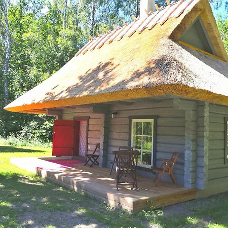 فندق Kotka Farm Saarekula المظهر الخارجي الصورة