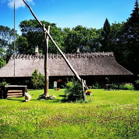 فندق Kotka Farm Saarekula المظهر الخارجي الصورة