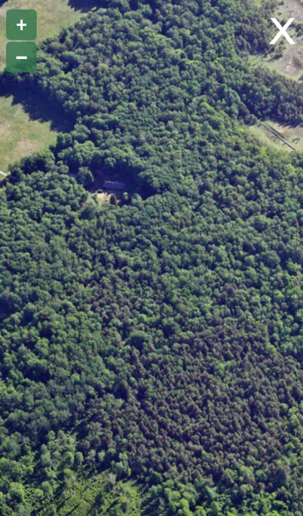 فندق Kotka Farm Saarekula المظهر الخارجي الصورة