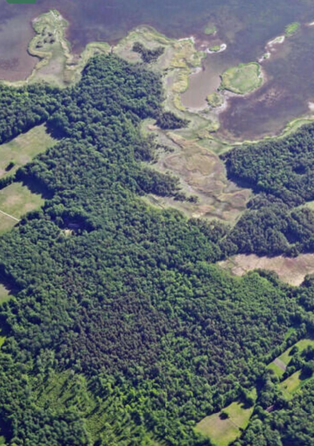 فندق Kotka Farm Saarekula المظهر الخارجي الصورة