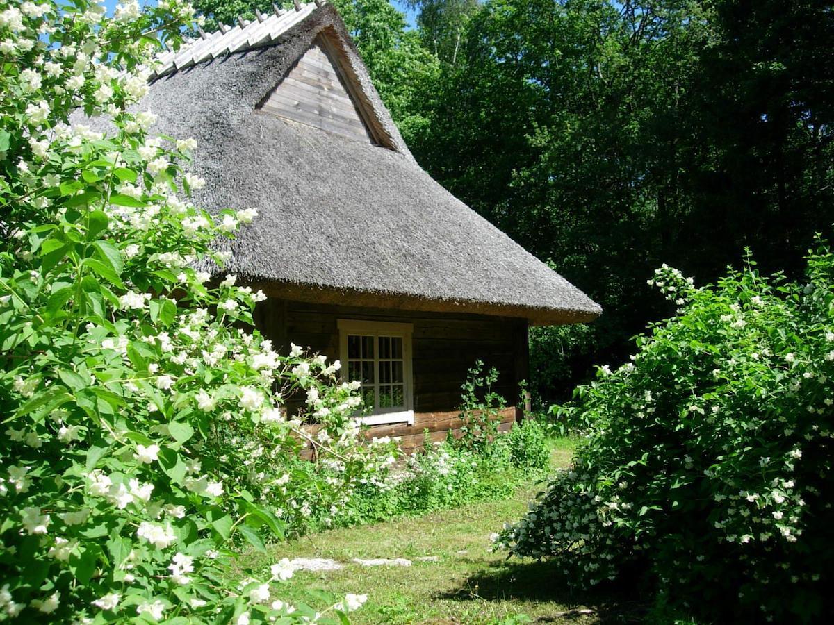 فندق Kotka Farm Saarekula المظهر الخارجي الصورة