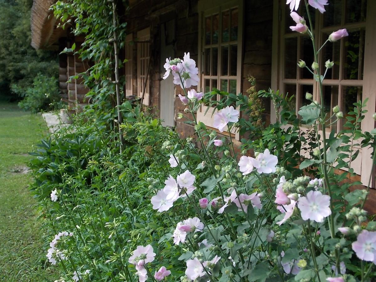 فندق Kotka Farm Saarekula المظهر الخارجي الصورة