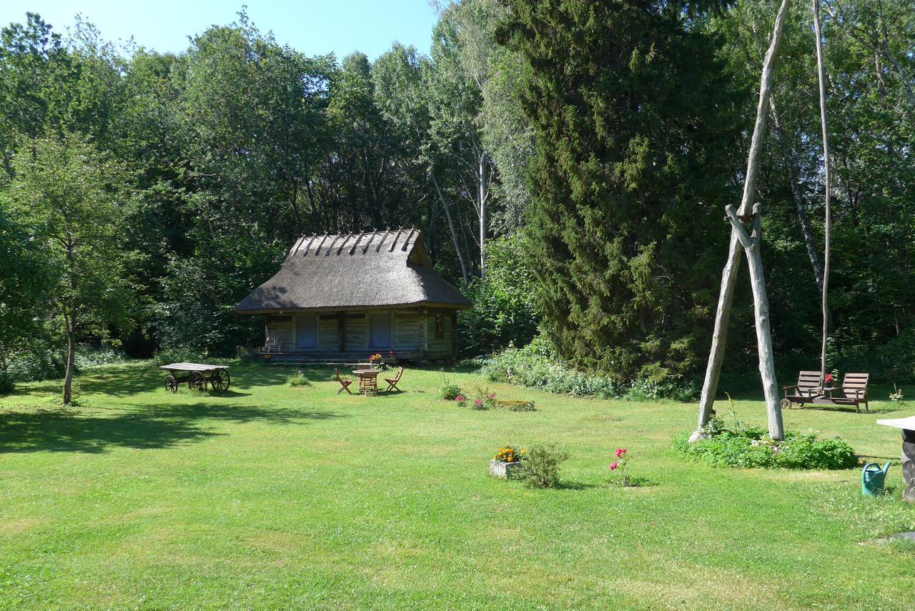 فندق Kotka Farm Saarekula المظهر الخارجي الصورة