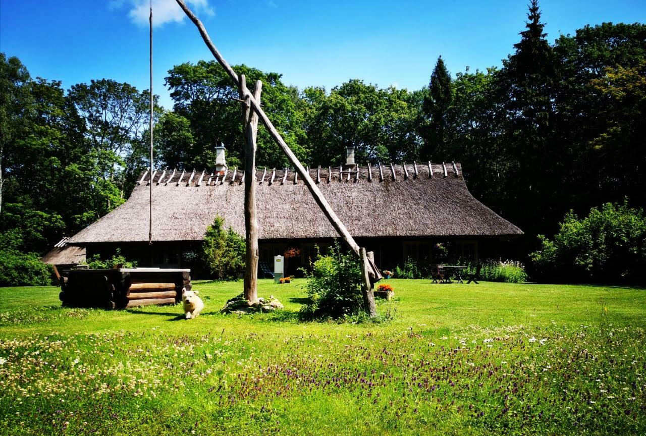 فندق Kotka Farm Saarekula المظهر الخارجي الصورة